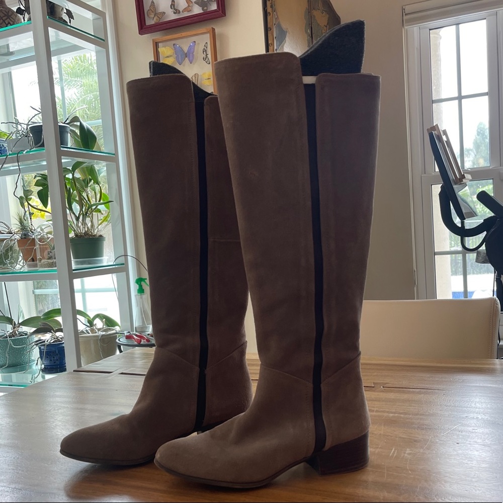Steve Madden brown suede-leather knee high boots